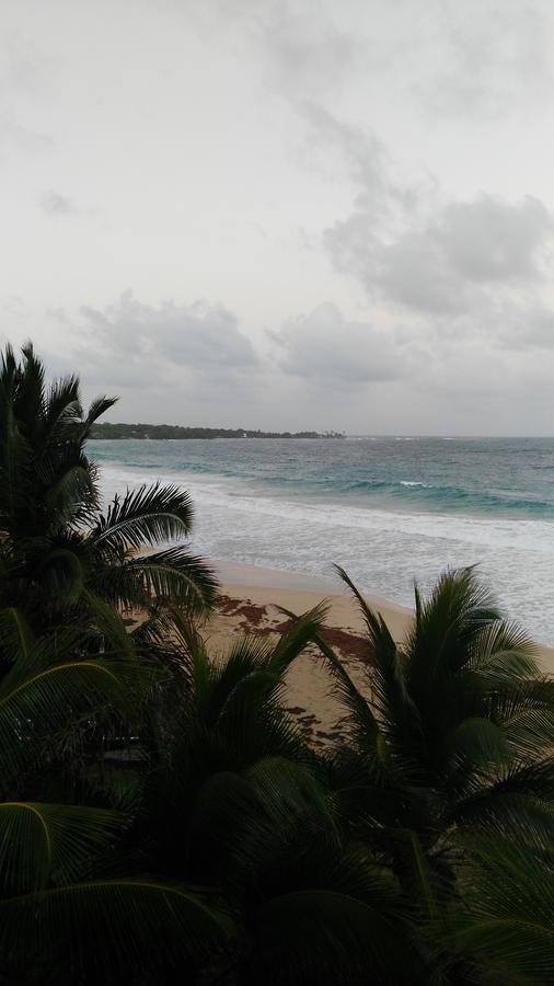 Corn Island Hostal Alal Suite North End Exteriör bild